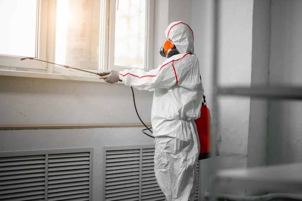 Professional mold remediation services in Auburn, GA